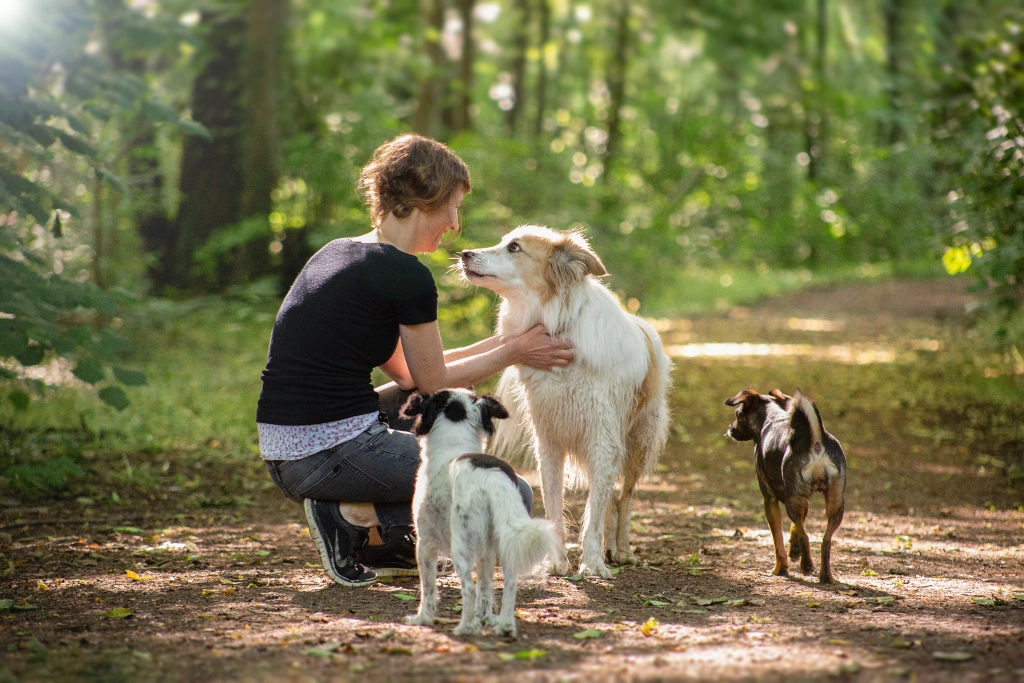 Coaching - was passiert da