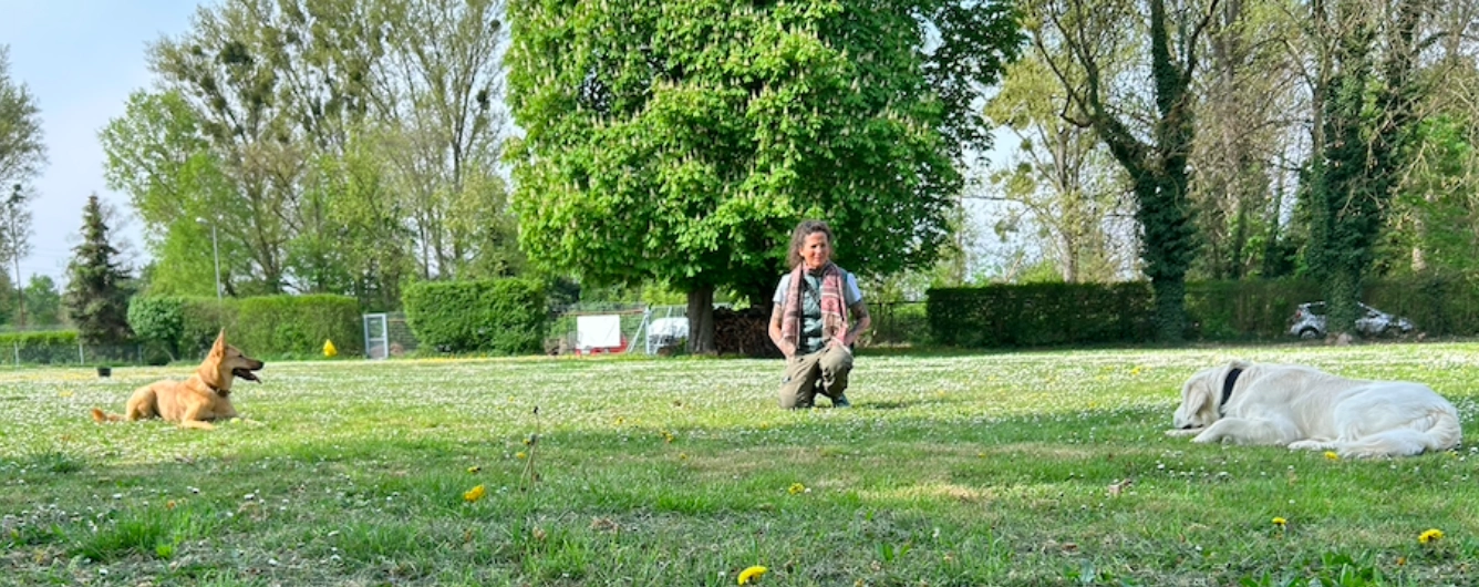Wenn Erwartungen im Weg stehen