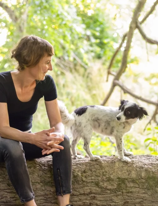 angela kniesel hundetrainerin angela kniesel hundetrainerin