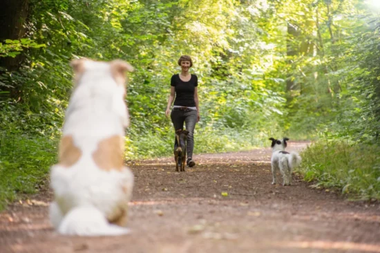 frau-kniesel-zwischen-deinem-wort